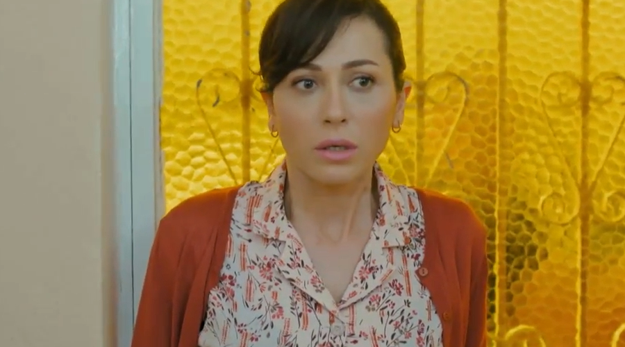 Capítulo 24 | Capítulos