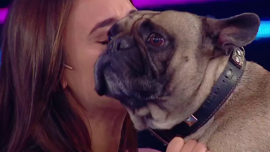 El emocionante reencuentro de Martina con su perro Atilio | Mejores momentos