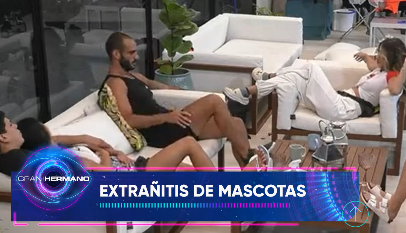 Extrañitis de mascotas: los jugadores piensan mucho en sus perros | Mejores momentos