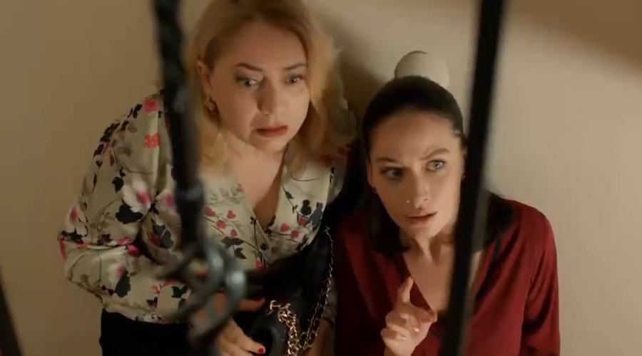 Capítulo 481 | Capítulos