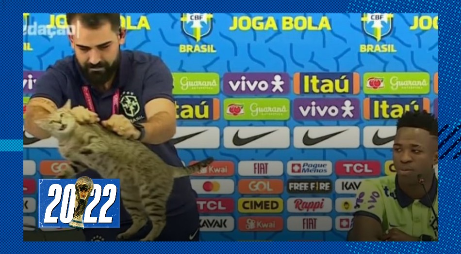 Maltrato animal en el Mundial durante la conferencia de Brasil | Novedades