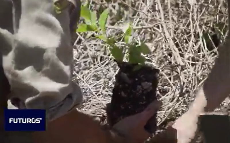 Programa 02 | Programas