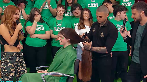 Programa 31 | Programas