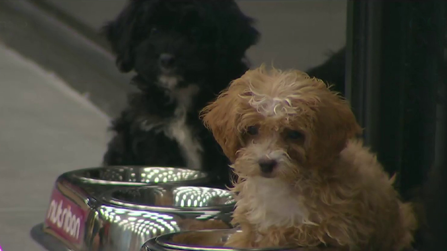 Así fueron las primeras horas de Caramelo y Delmora en la casa de Gran Hermano | Mejores momentos