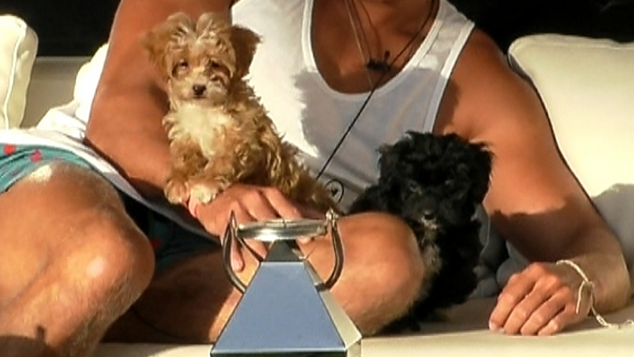 Las verdaderas estrellas de la casa de Gran Hermano | Mejores momentos