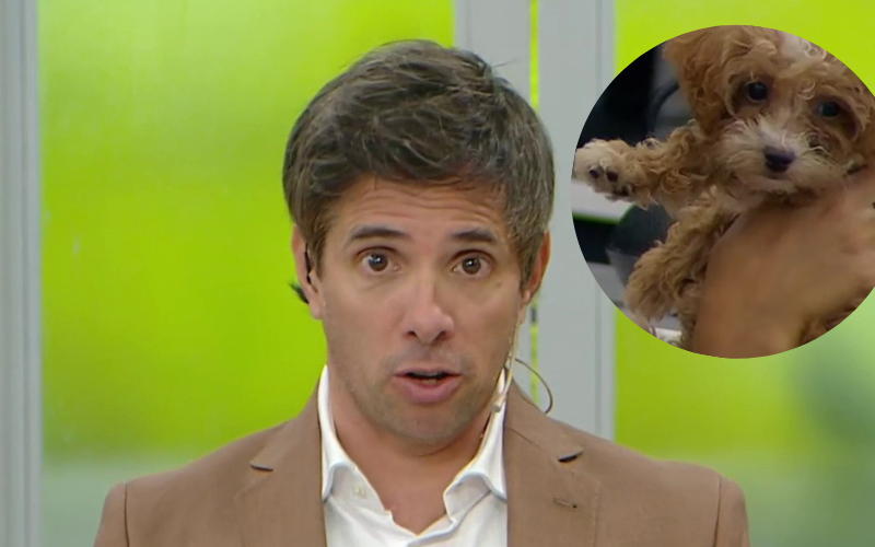 "Caramelo está bien", Roberto Funes habló sobre la caída del perrito a la pileta | Mejores momentos
