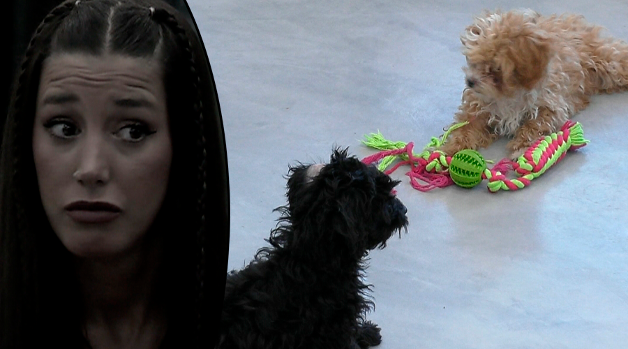 Gran Hermano advirtió Mora Caramelo reacción casa | Mejores momentos