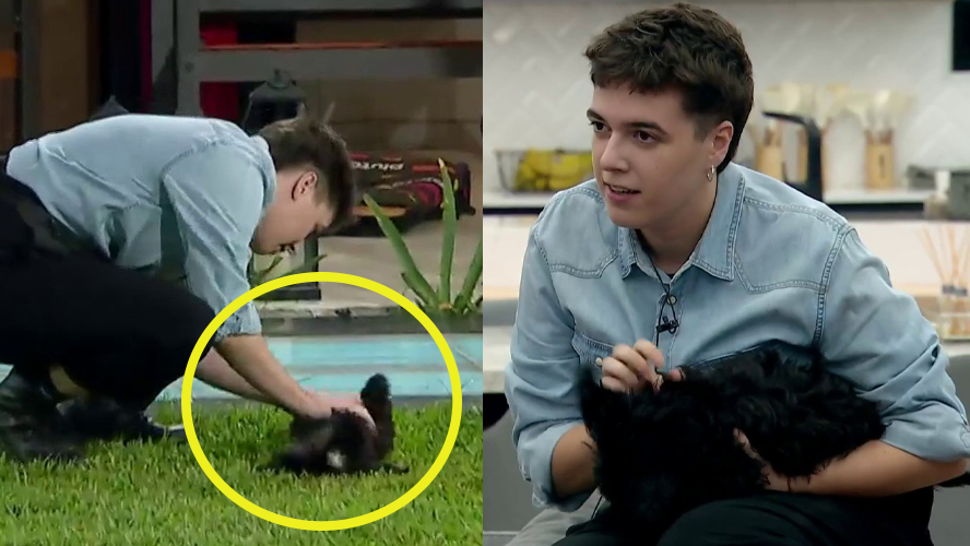 Mora volvió a la casa y se hizo amiga de Morita, la perra de Marcos | Mejores momentos