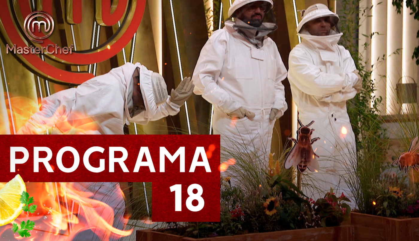 Programa 18 | Programas