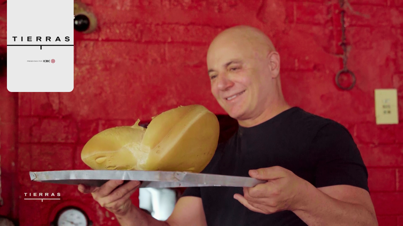 Programa 10 | Programas