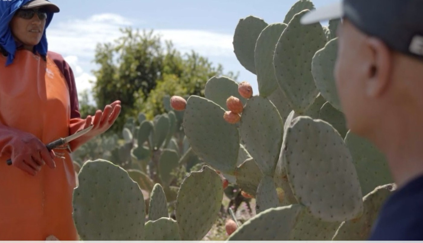 Programa 12 | Programas