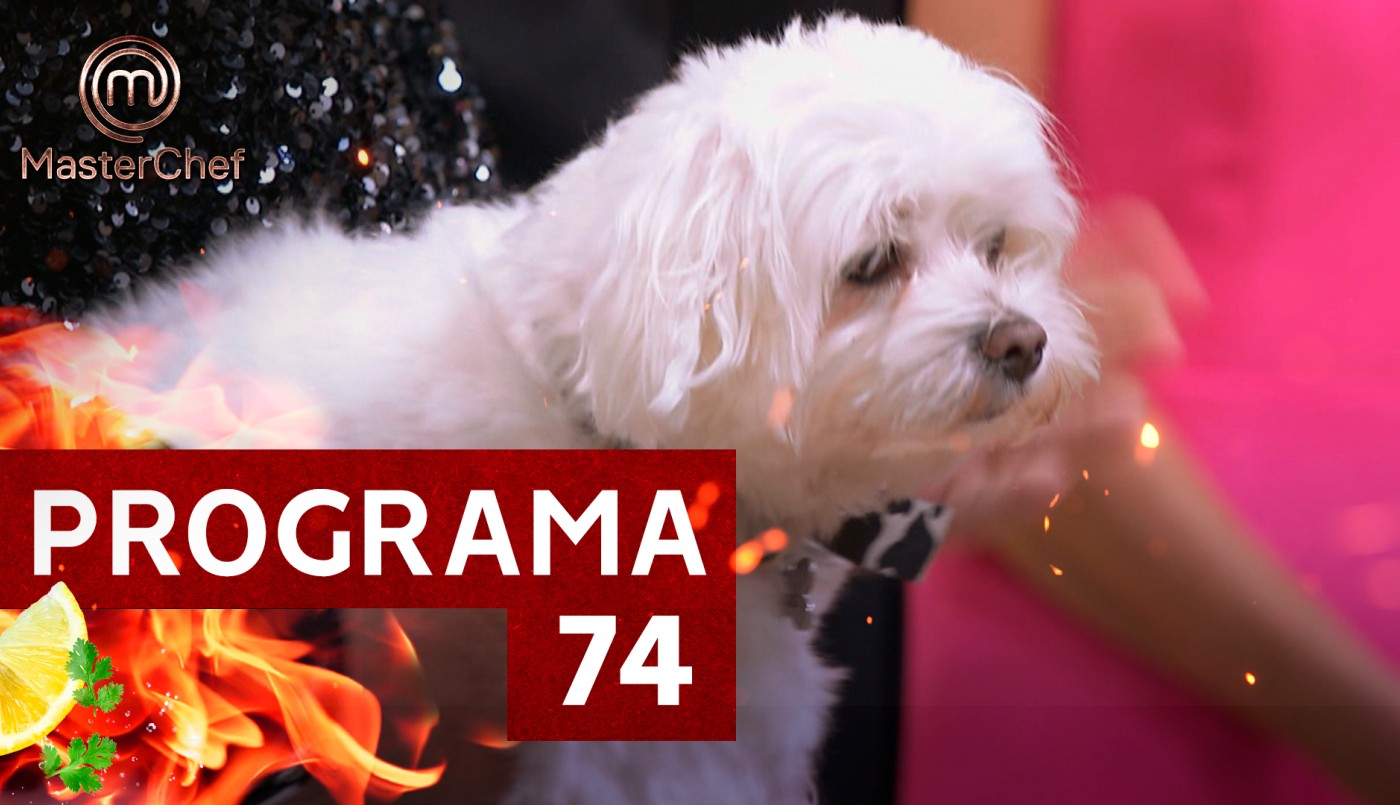 Programa 74 | Programas