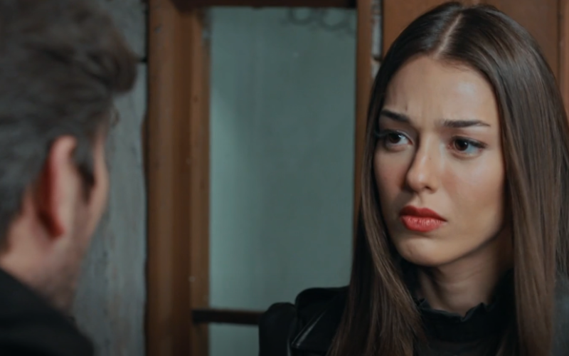 Capítulo 29 | Capítulos