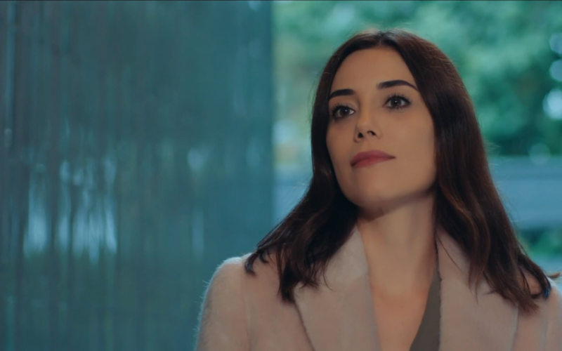 Capítulo 12 | Capítulos