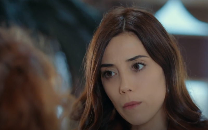 Capítulo 14 | Capítulos