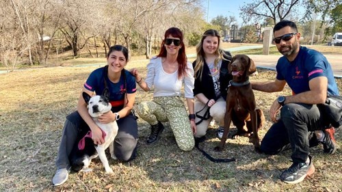 Binomio humano/animal: infalible | Episodios