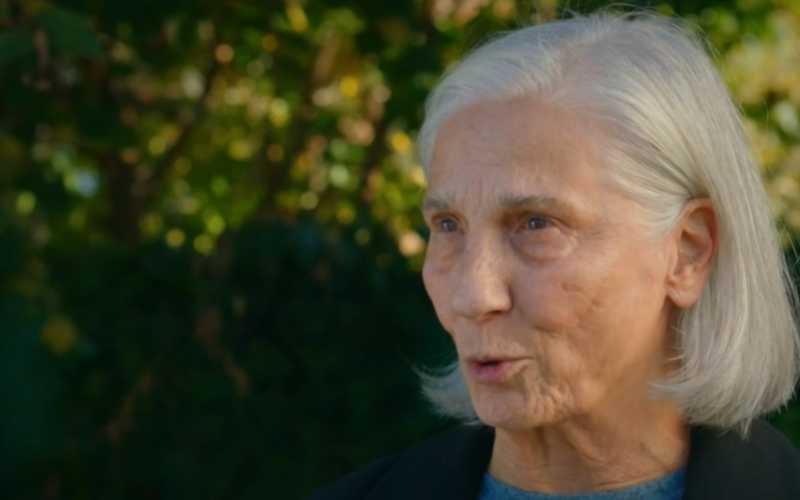 Capítulo 153 | Capítulos