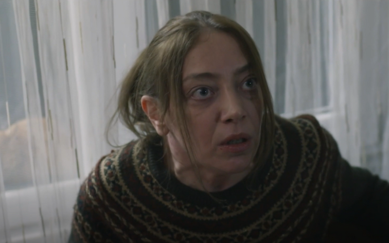 Capítulo 17 | Capítulos