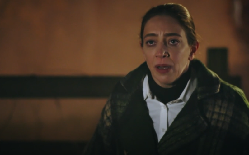 Capítulo 23 | Capítulos