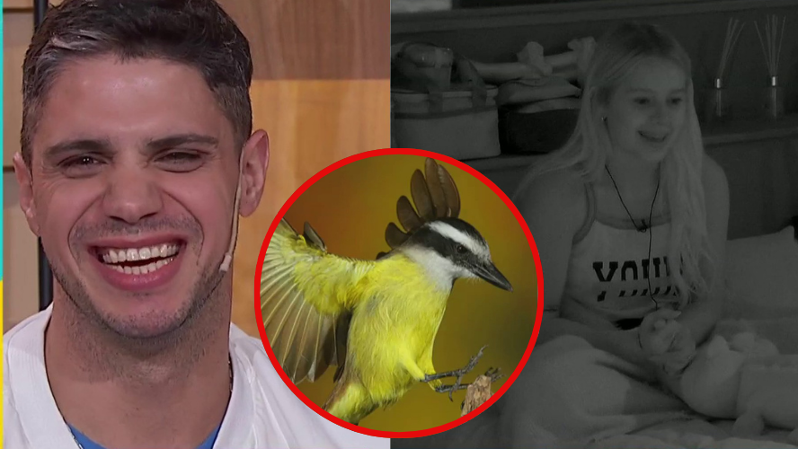 Un pajaro los salvo de la cigueña: la divertida anecdota de "el cone" y Coty dentro de GH | Exclusivos