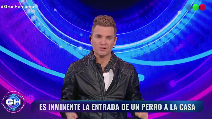 Gran Hermano de tránsito: la casa acogerá un perro abandonado | Mejores momentos