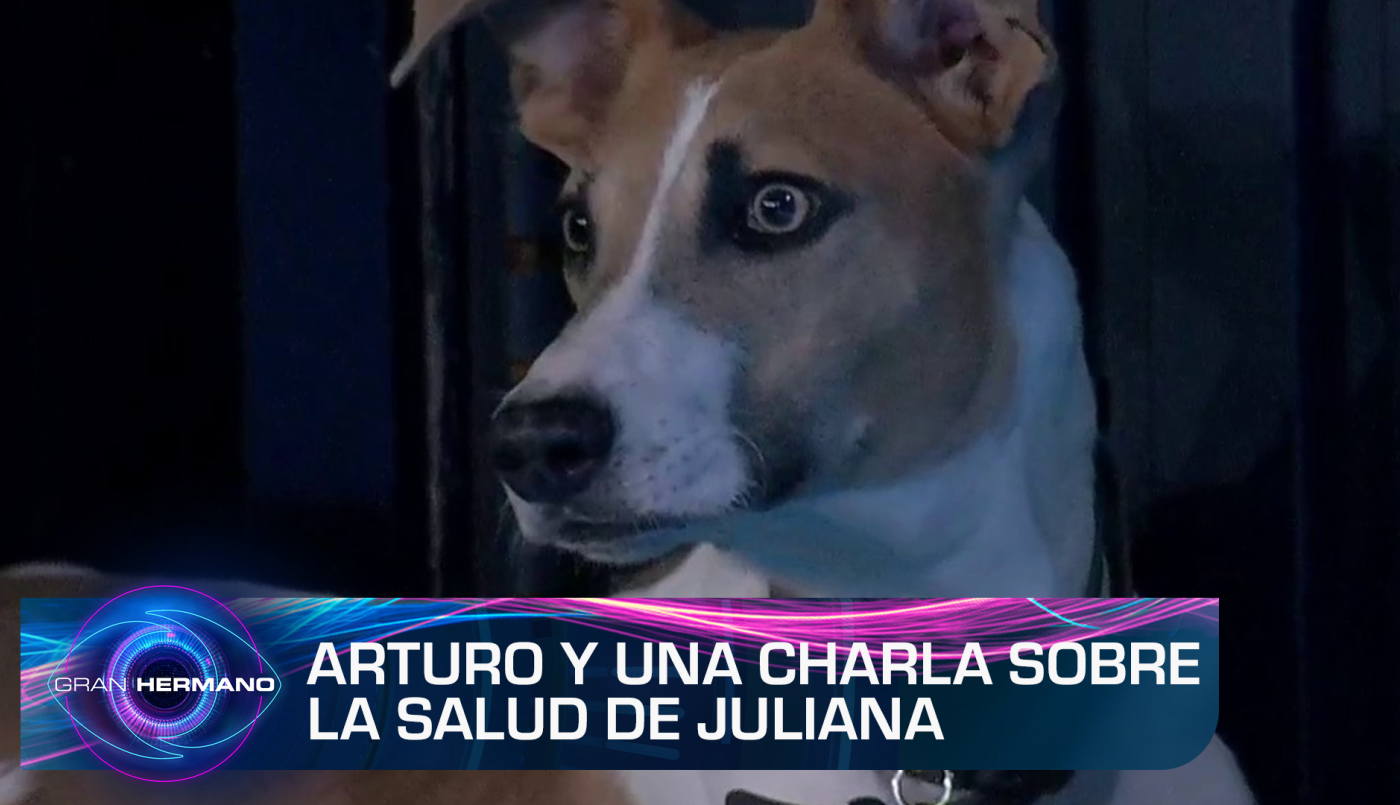 Programa 108 | Programas 2023