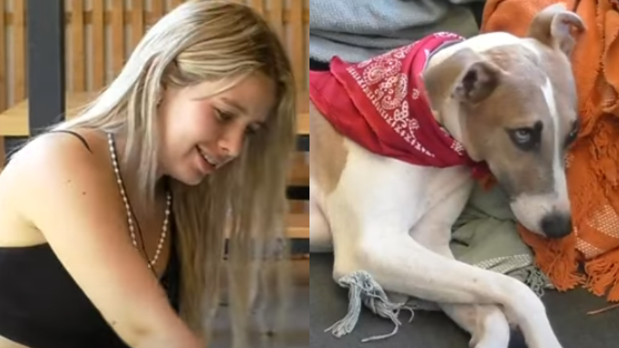 Un nuevo bro… ¿Mega furioso?: Arturo rechazo el cariño de Coty | Mejores momentos