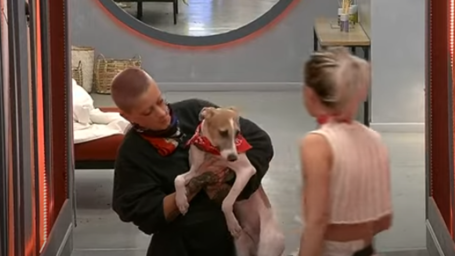 Arturo se adueño de la casa y se robo todos los corazones | Mejores momentos