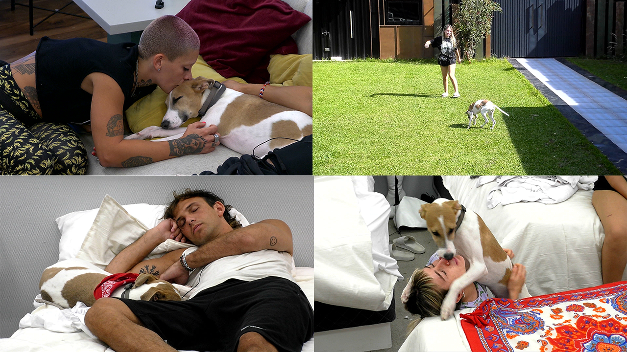 Arturo ya es amigo de todos en la casa | Mejores momentos