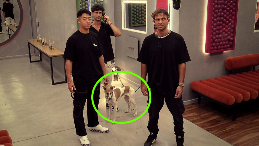 Arturo no es un Bro: es un... "Pibardo" | Mejores momentos