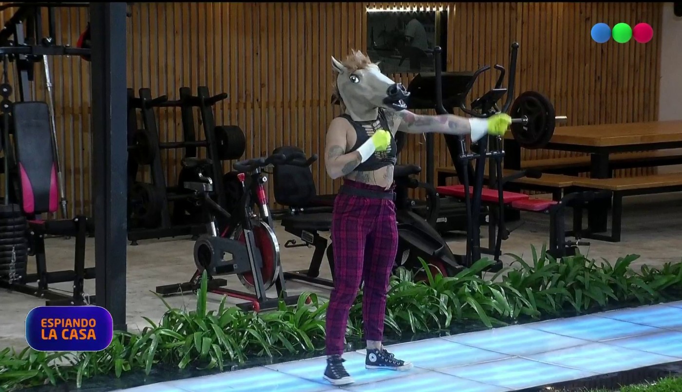 Furia se transformó en caballo, escrachó a Mauro y pidió por la salida de Coty | Mejores momentos