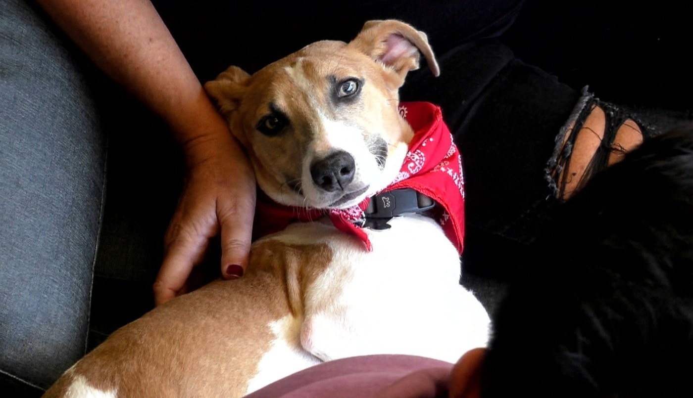 ¡Feliz día, Arturo! | Mejores momentos