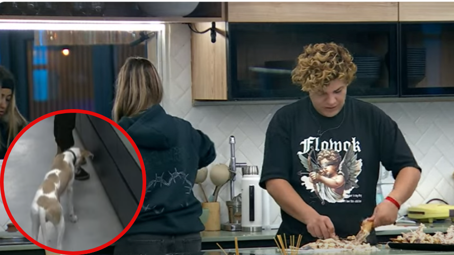 Entre cocinero y cocinera, Arturo se hizo una fiesta de sabores | Mejores momentos