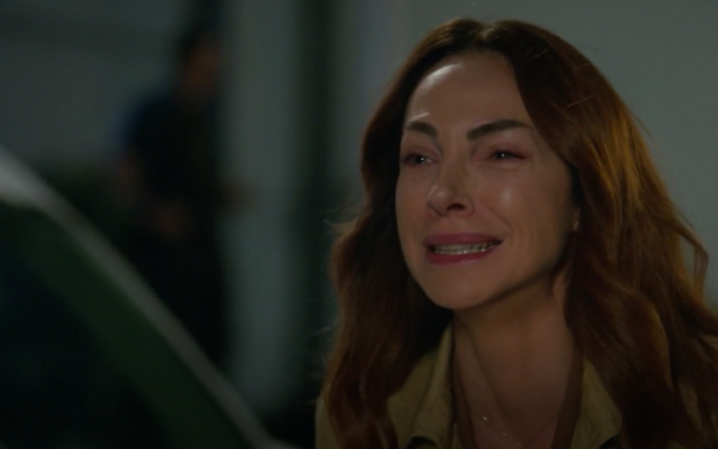 Capítulo 266 | Capítulos