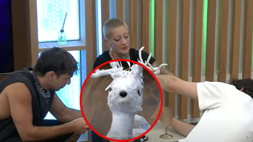 "La cariño" fue atendida por los hermanos uruguayos | Mejores momentos