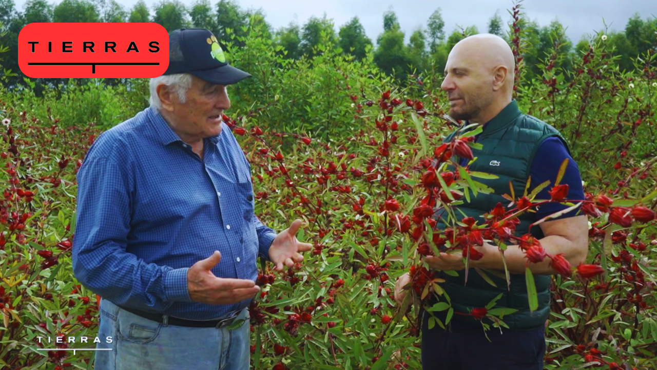 Programa 02 | Programas 2024