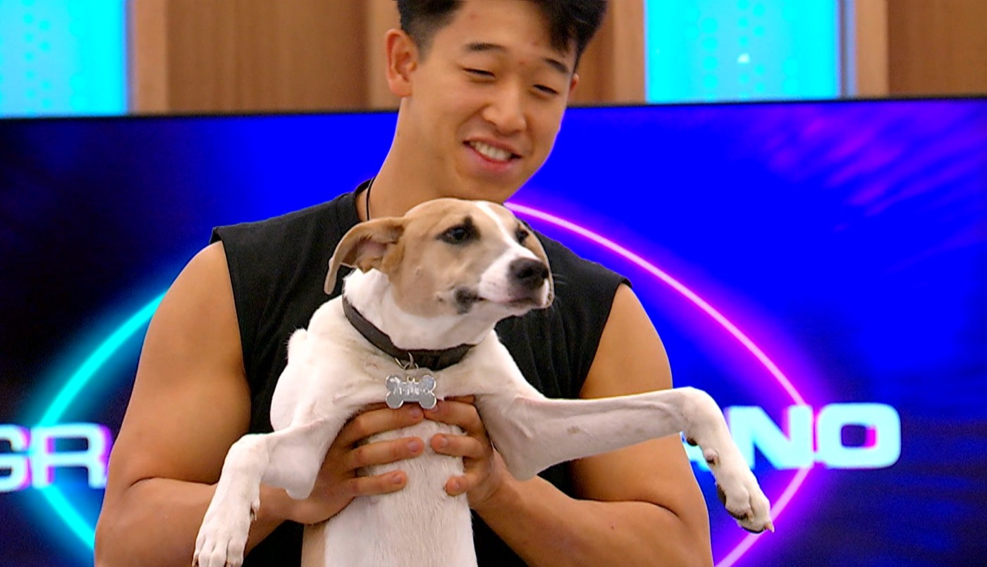 Las chancletas y los almohadones son las víctimas preferidas de Arturo | Mejores momentos