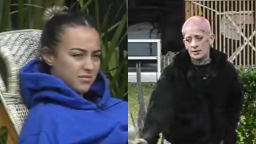 Furia analizo junto a Flor los riesgos de la proxima placa | Mejores momentos