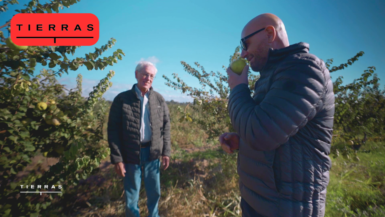 Programa 03 | Programas 2024