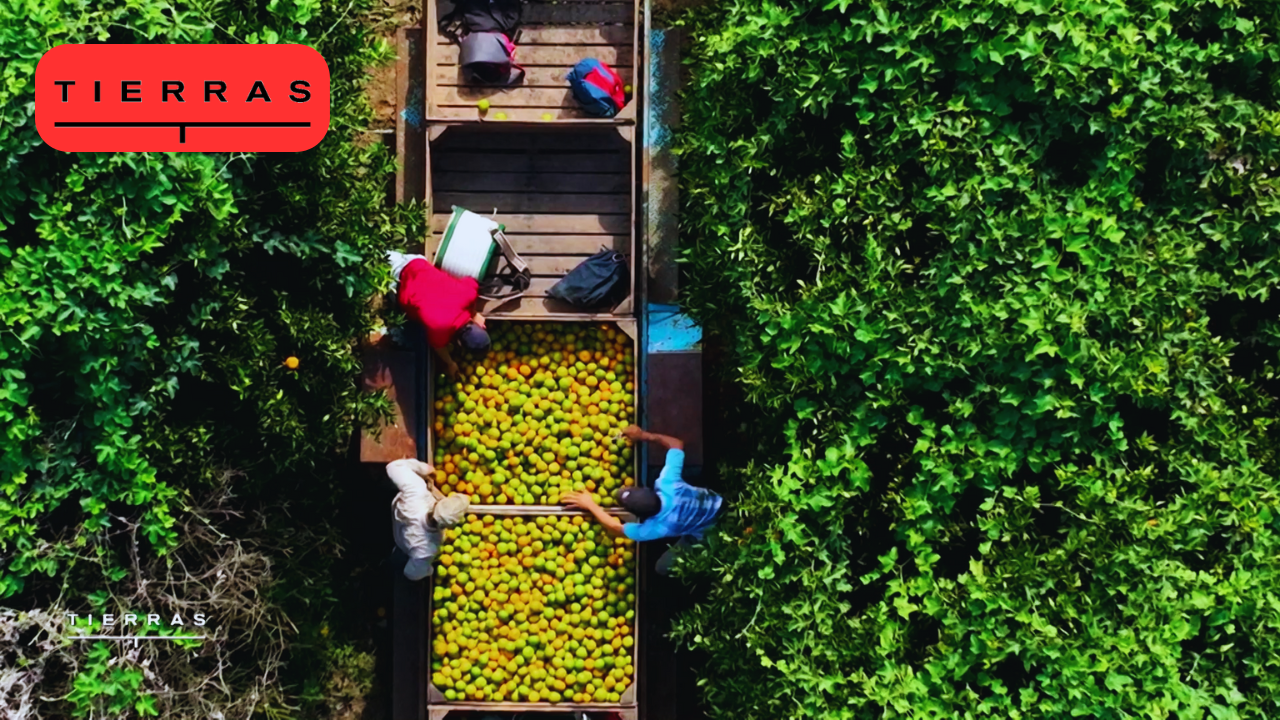 Programa 04 | Programas 2024