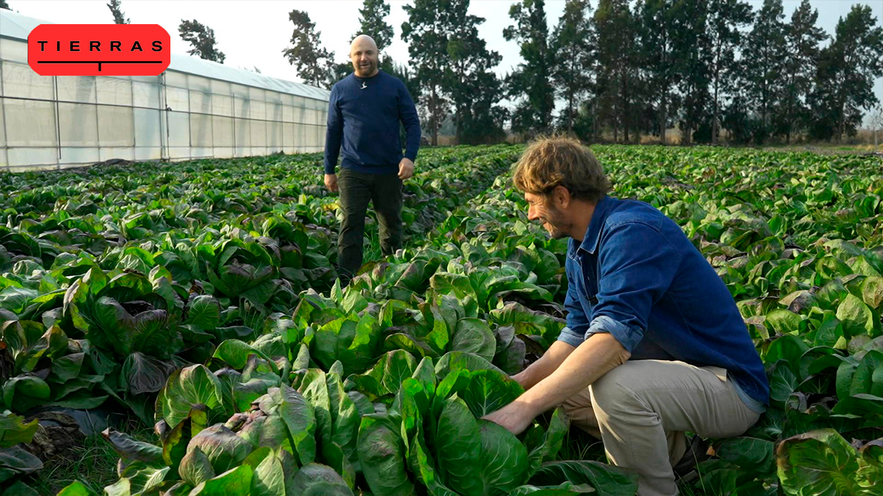 Programa 08 | Programas 2024