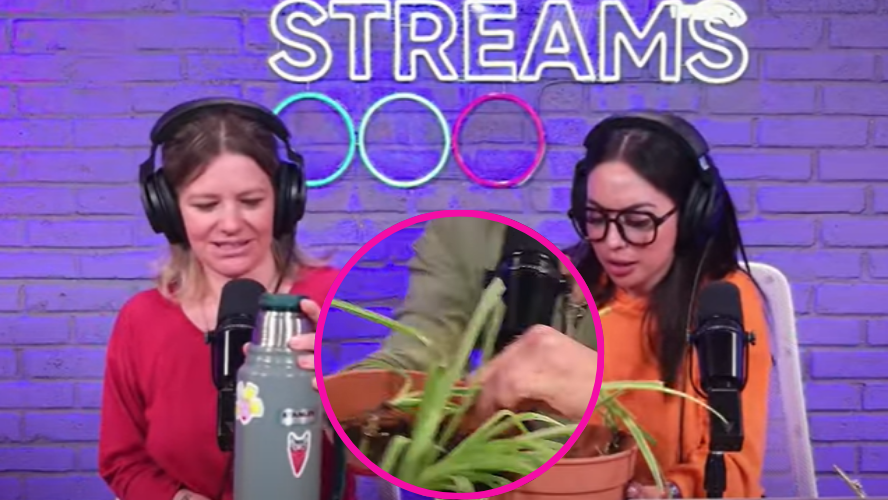 Jardineria con Sabrina Cortez: esquejes y tips para cuidar tus plantas | Mejores Momentos