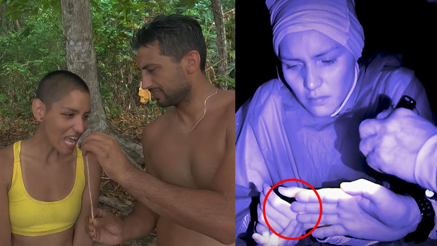 Janet fue picada por un alacrán y como venganza se comió otro | Mejores Momentos