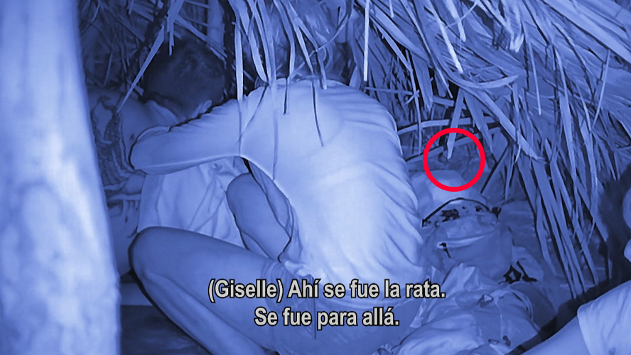 Una rata irrumpió en el campamento sur: gritos, pánico y sobresaltos | Mejores Momentos