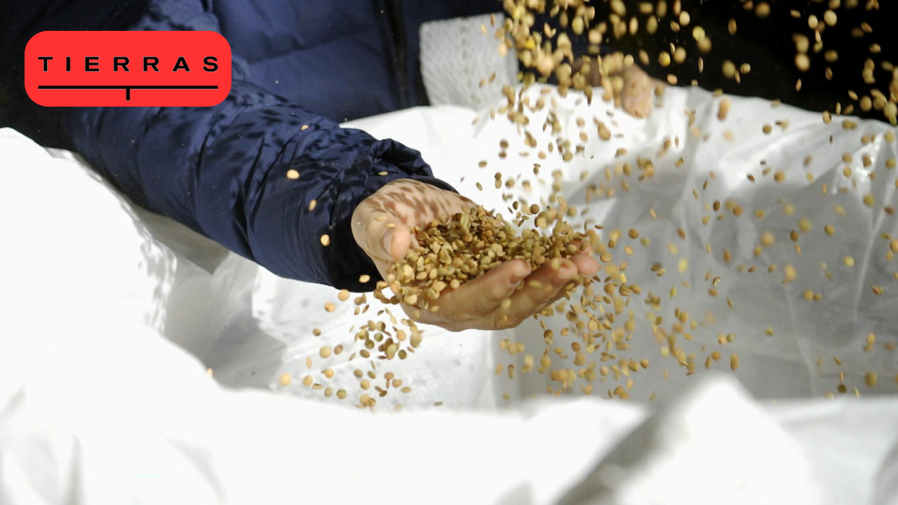 Programa 10 | Programas 2024