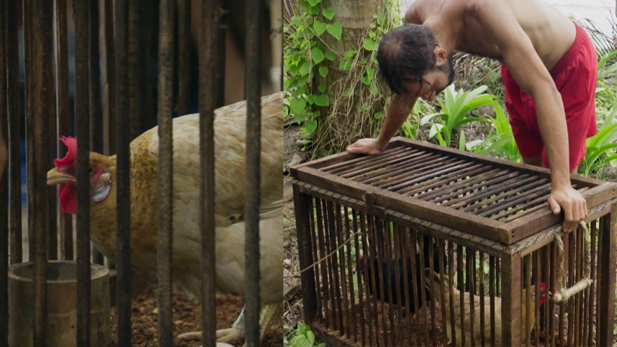 Sucesos inéditos con la desaparición de la comida: "Es ilógico robarse un huevo crudo" | Mejores Momentos