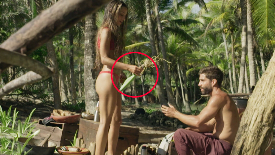 La verdad sobre la supuesta cebolla de Survivor: una planta tóxica que los podría haber... | Mejores Momentos