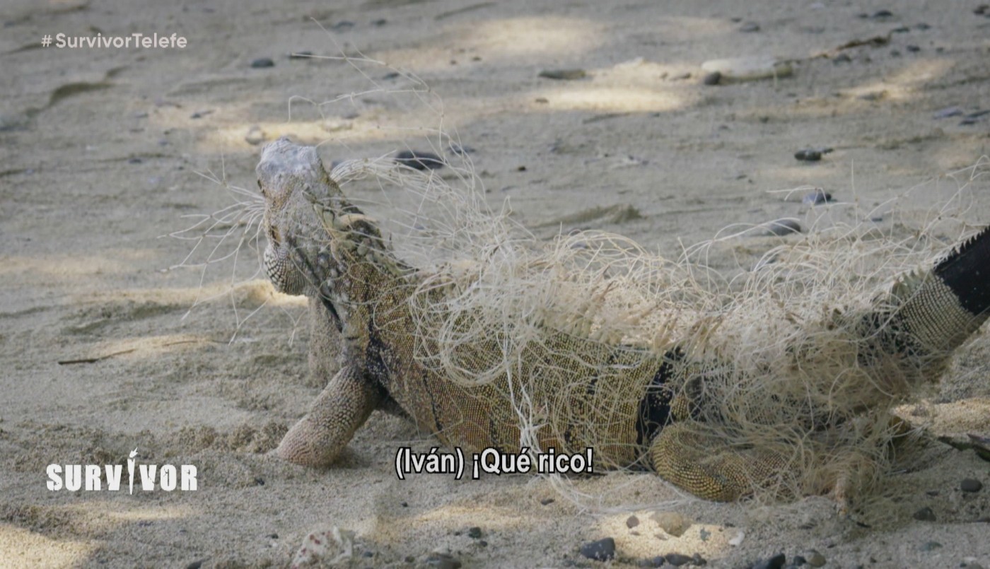 El campamento Sur pasó de querer comer una iguana a salvarle la vida | Mejores Momentos