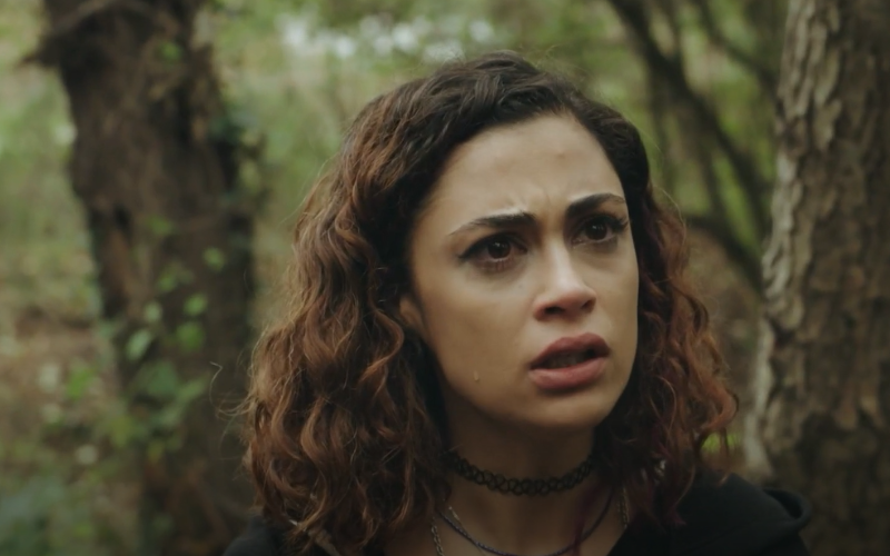 Capítulo 141 | Capítulos