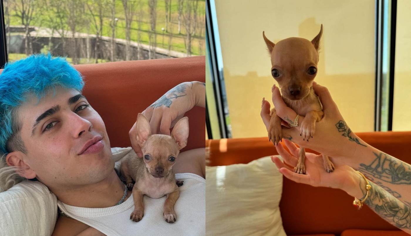 Luck Ra derritió las redes sociales al presentar a su mascota: "Se llama Diego Armando" | Espectáculos